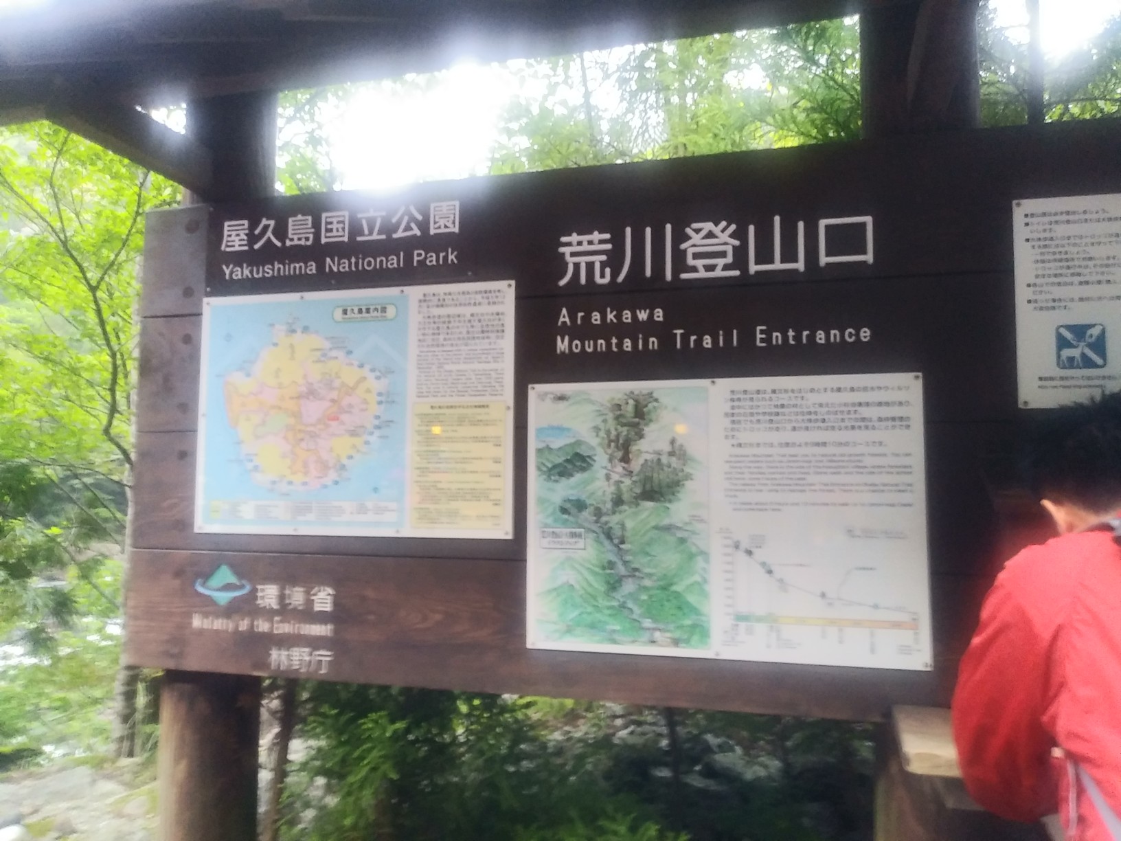 荒川登山口 ウィルソン株 縄文杉 19 05 02 Yoko Smileさんの屋久島 宮之浦岳の活動データ Yamap ヤマップ