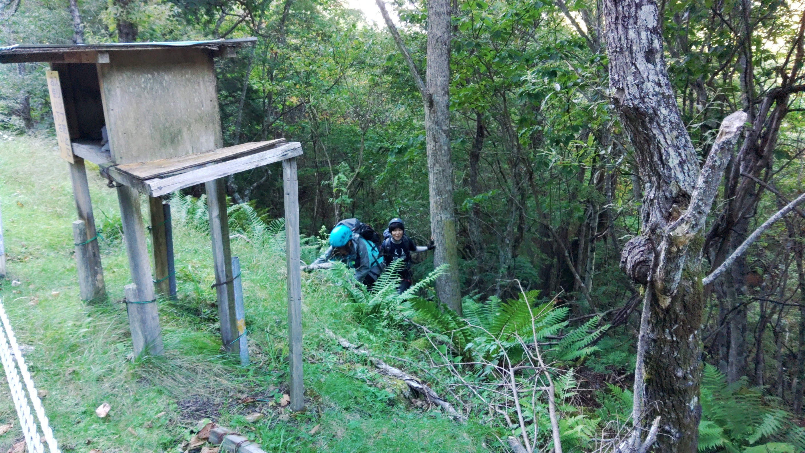 焚き火をしたくて 箒川 赤川 うっちぃさんの新湯富士 塩原富士山 前黒山の活動日記 Yamap ヤマップ