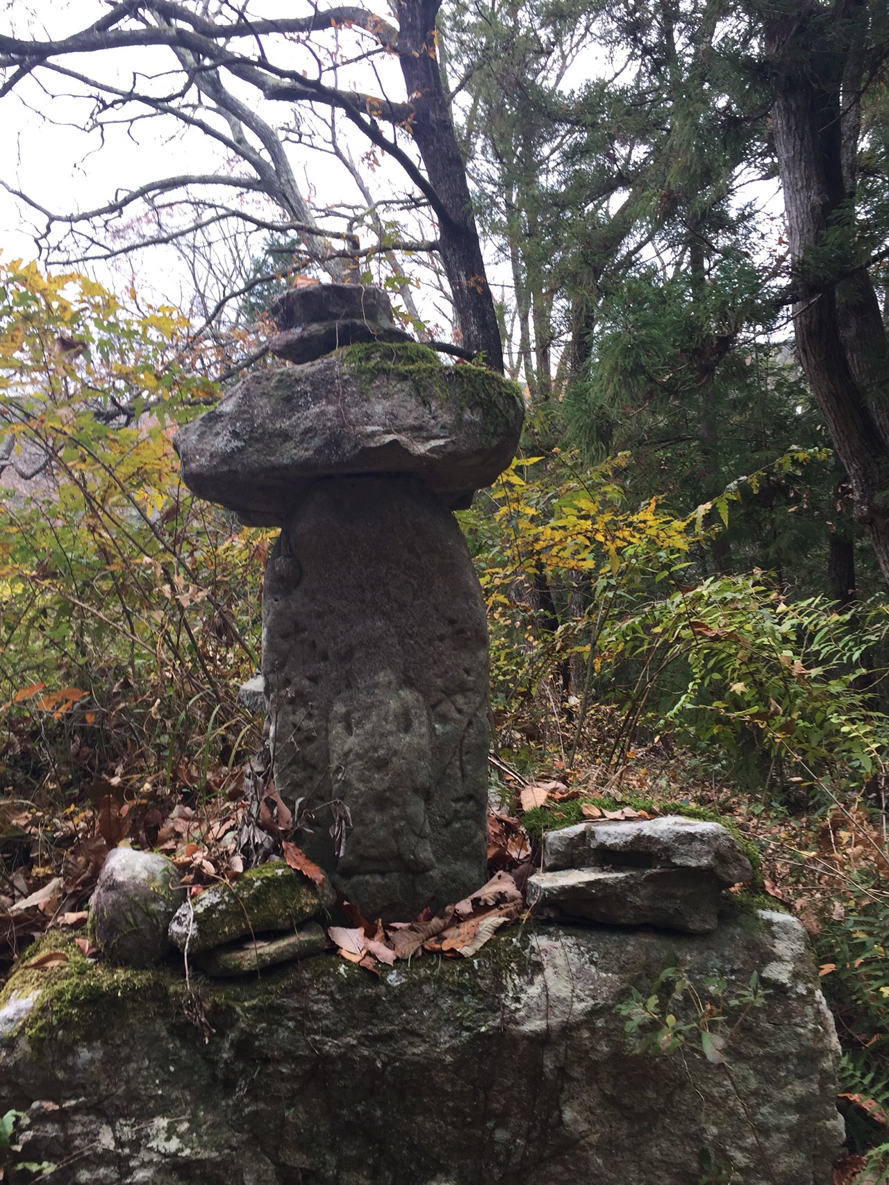 清水寺 丹波坂 古参道 降り 只越峠 西坂を登る すずしかるらんさんの三草山の活動データ Yamap ヤマップ