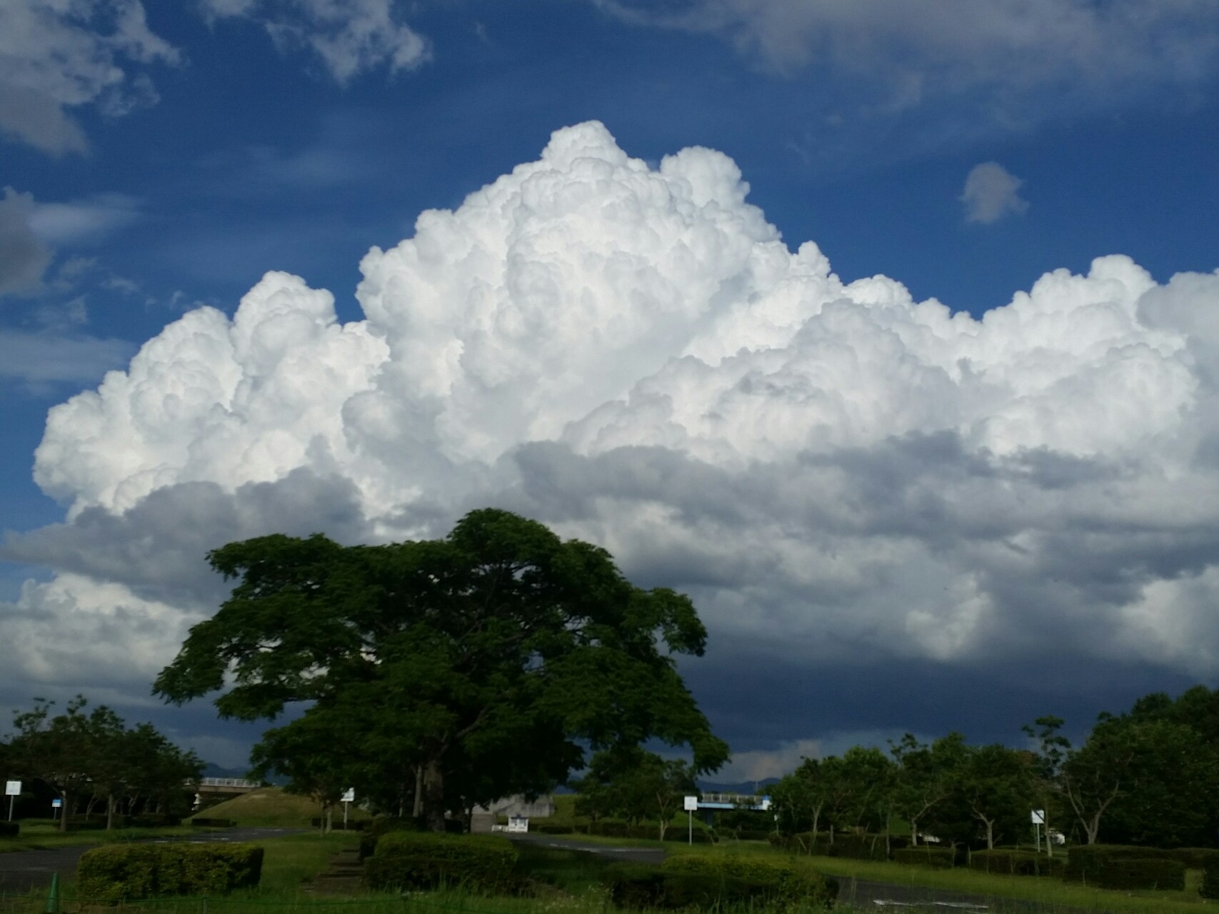 入道雲 にゅうどうぐも コックンさんの 公式 福岡市 防災情報含む の活動データ Yamap ヤマップ