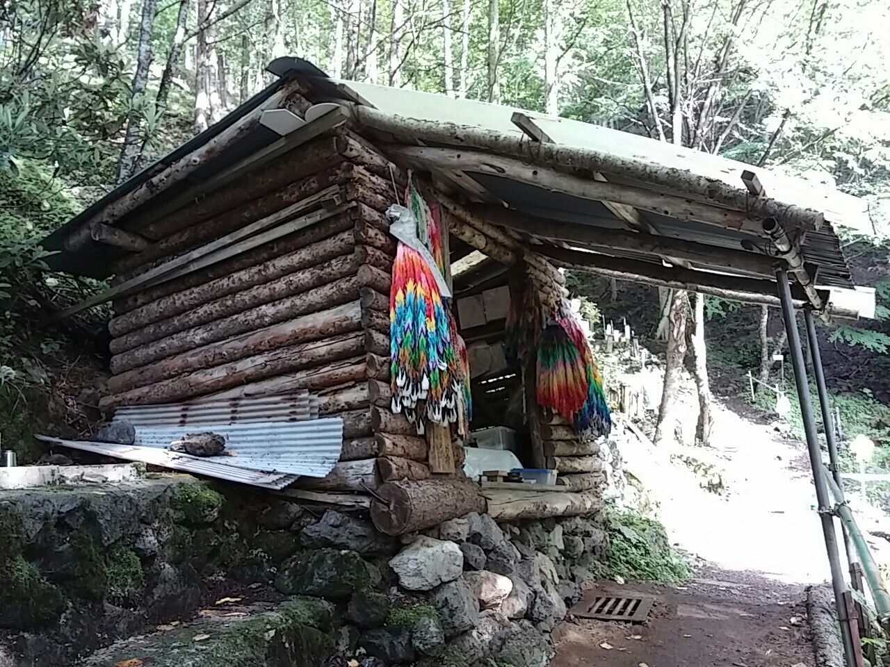 坂本 九 飛行機 事故