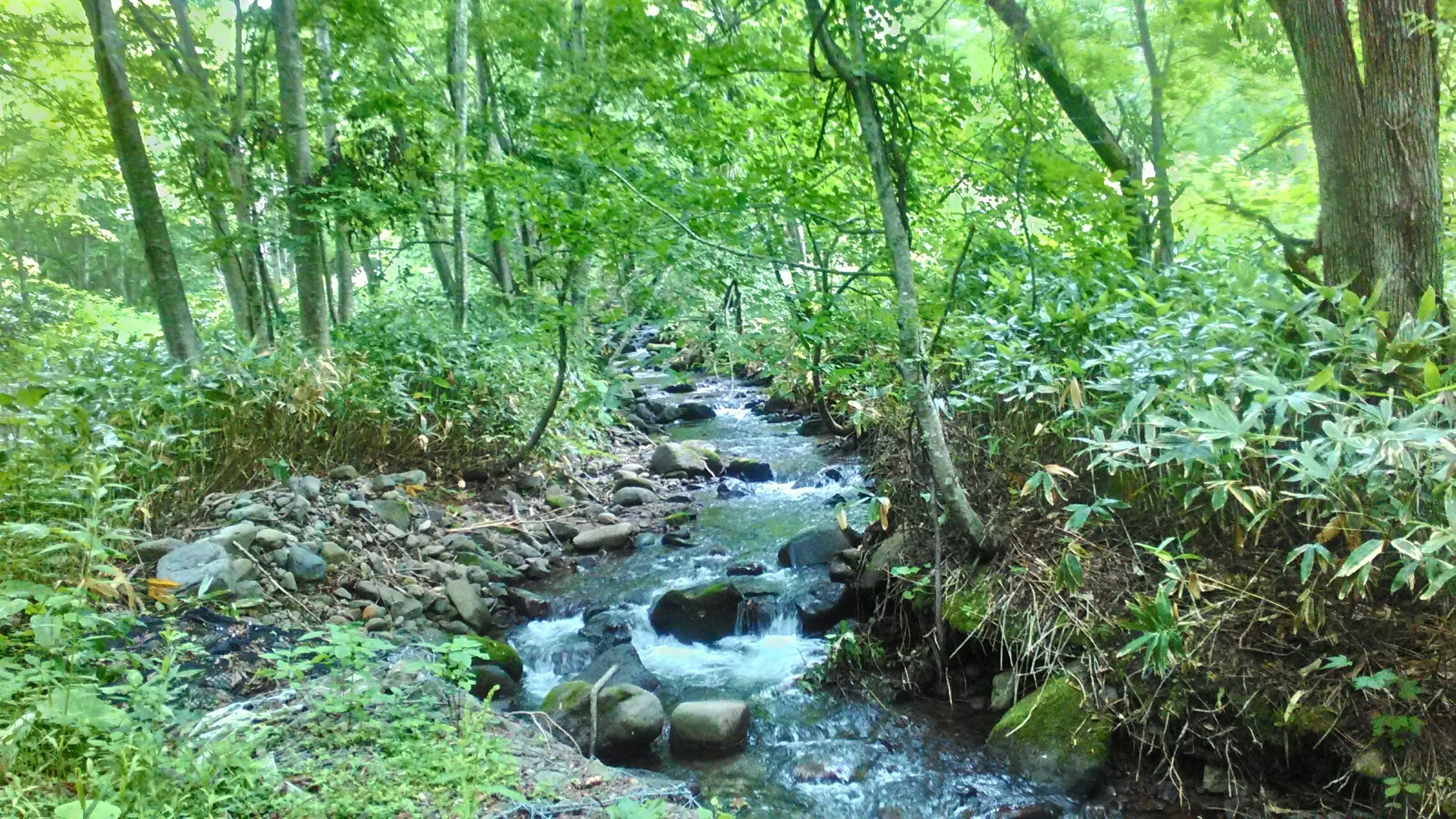 札幌岳 豊滝 札幌岳 豊平峡温泉 Tsubasaさんの札幌岳 空沼岳の活動データ Yamap ヤマップ