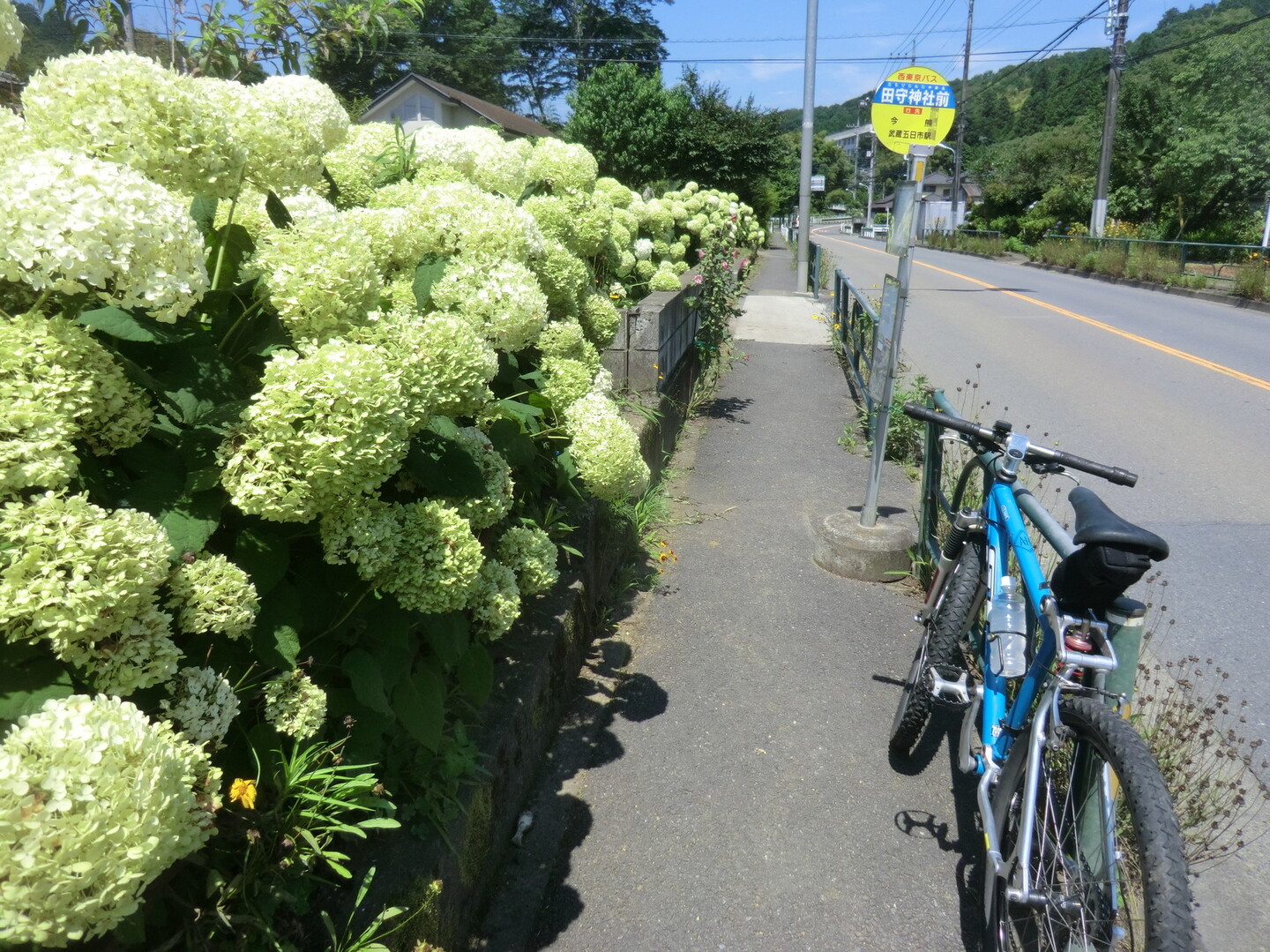秋川街道 武蔵五日市 深沢家屋敷跡 深沢林道終点 横沢入里山保全地域by Mountainbike Hayakunさんのハセツネcup 日本山岳耐久レース 71 5kmコース の活動日記 Yamap ヤマップ