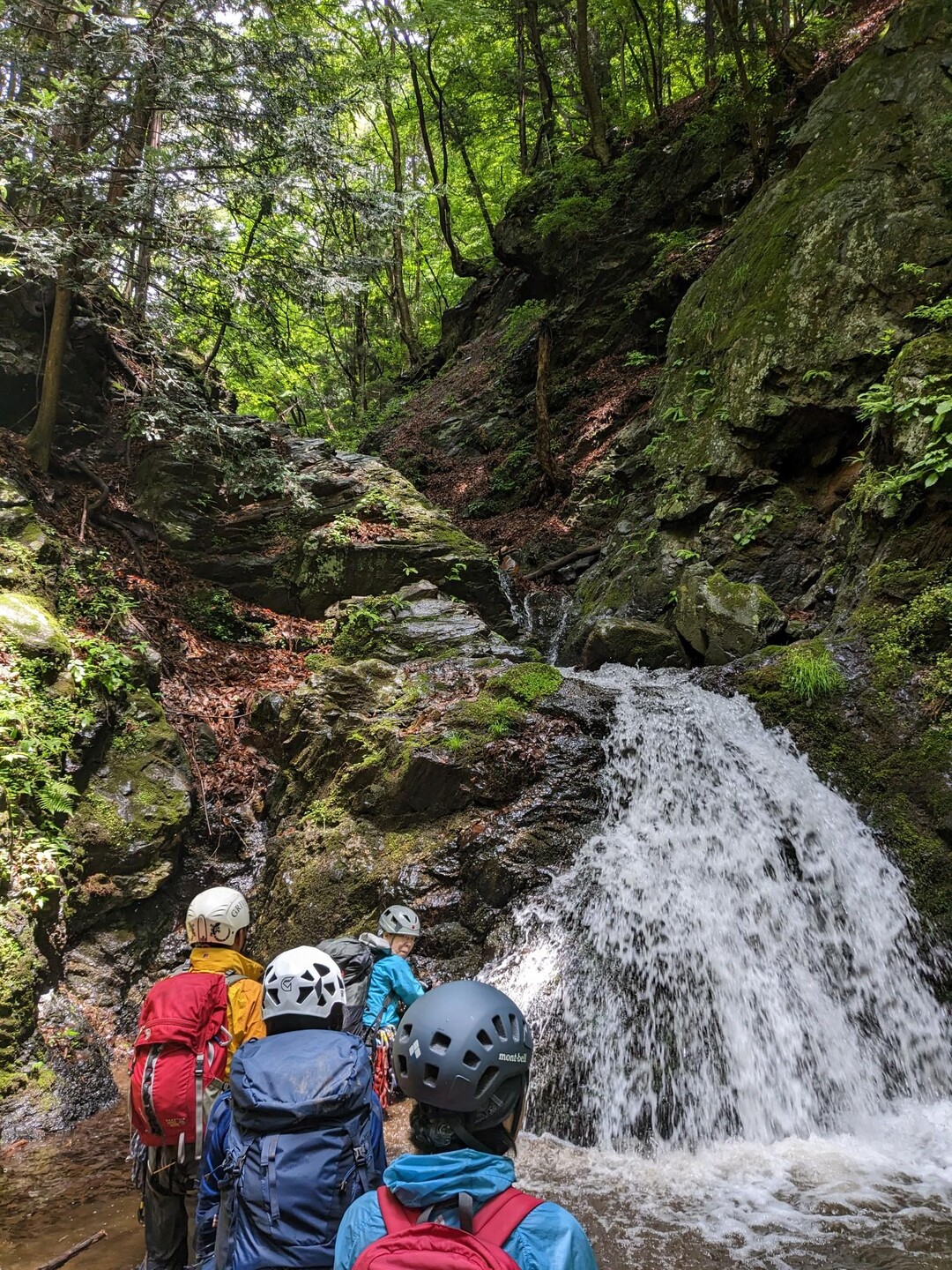 滝子山 すみ沢 沢登り体験 / ice133さんの滝子山・大谷ヶ丸・笹子雁ヶ腹摺山の活動データ YAMAP / ヤマップ
