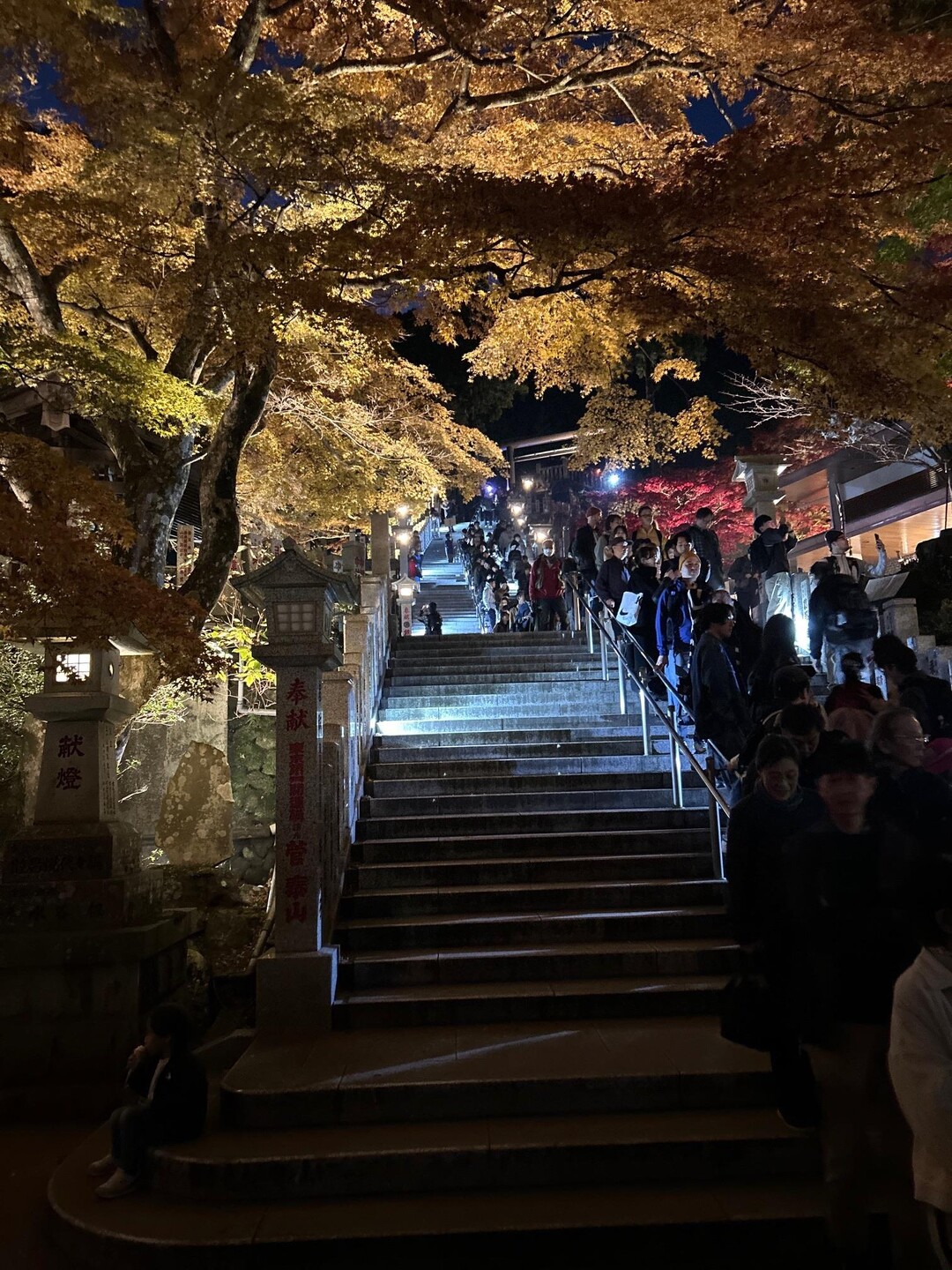 大山 / こびいさんの大山の活動データ YAMAP / ヤマップ