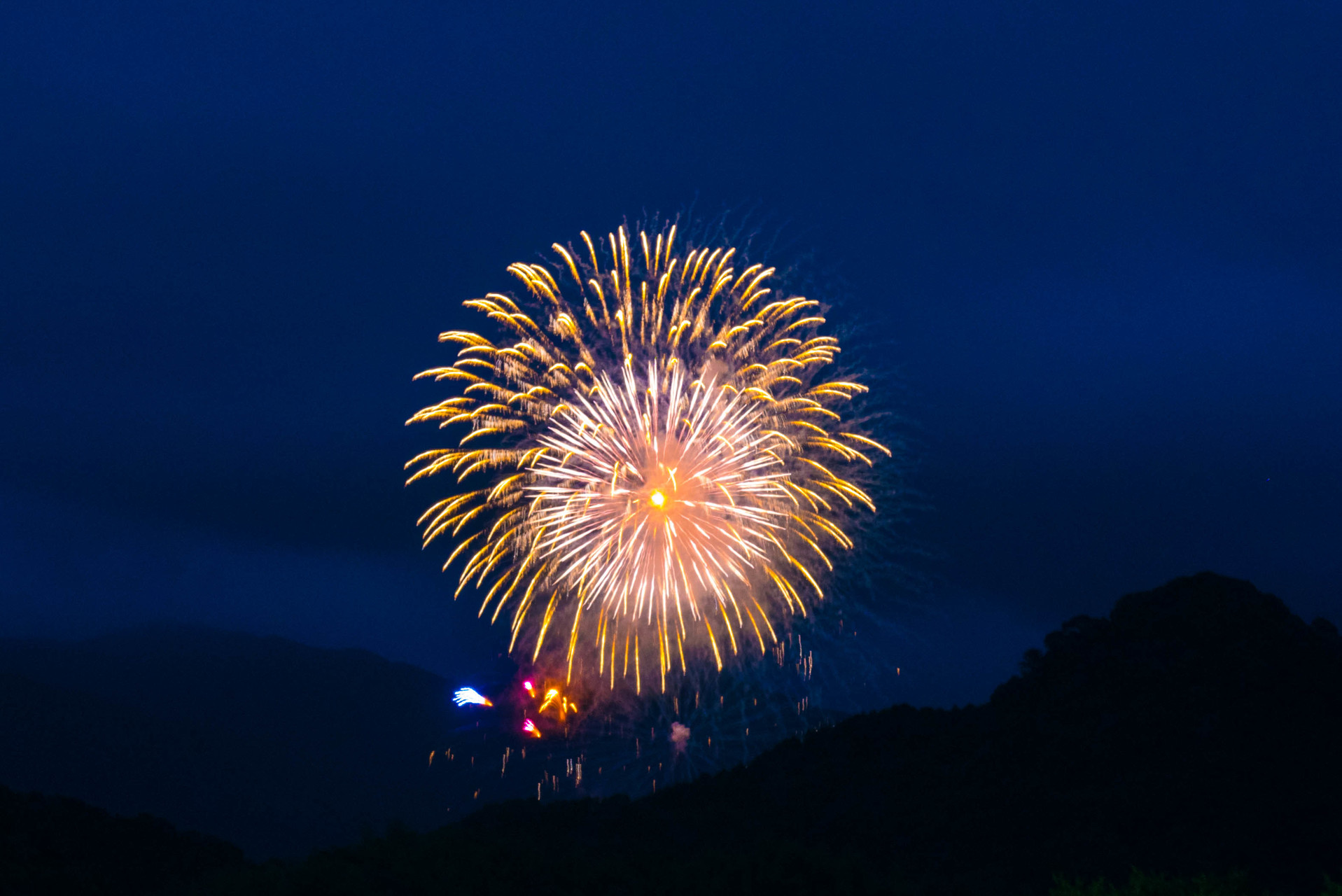 篠栗 田んぼ風景の生き物たち そして納涼花火大会 ガオガオさんの篠栗町の活動日記 Yamap ヤマップ