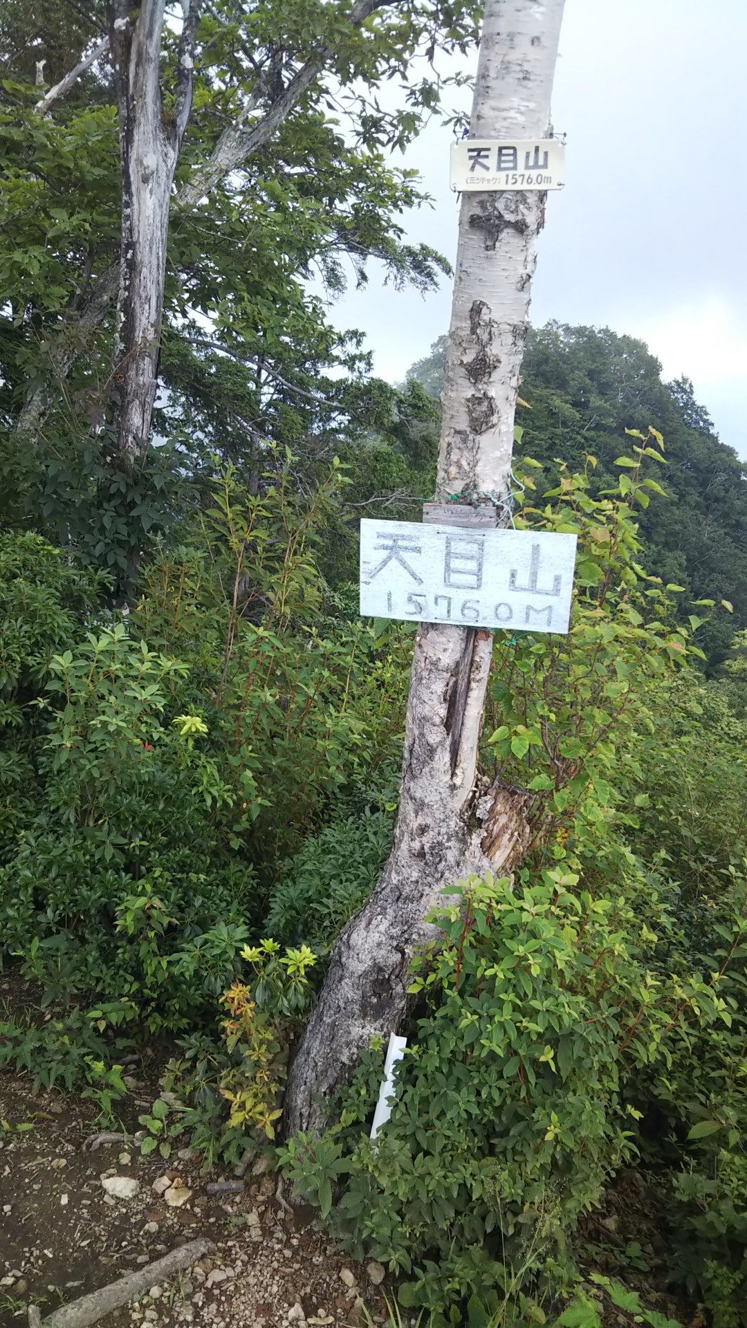 埼玉百名山 37座蕎麦粒山 38座天目山 Otoo39さんの雲取山 鷹ノ巣山 七ツ石山の活動日記 Yamap ヤマップ