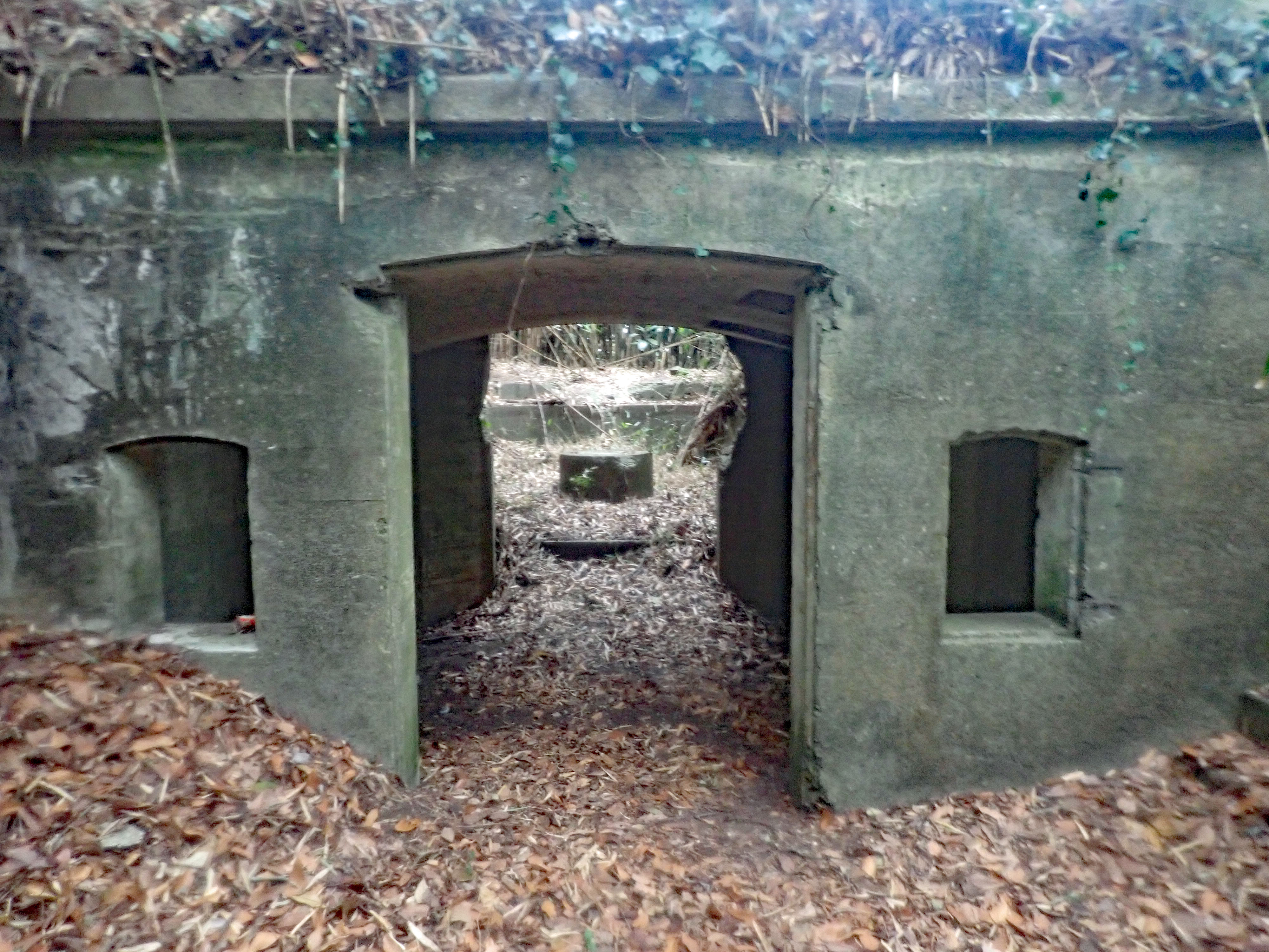 東京湾要塞 西浦砲台 左翼観測所再び Bushmasterさんの大楠山 武山の活動データ Yamap ヤマップ
