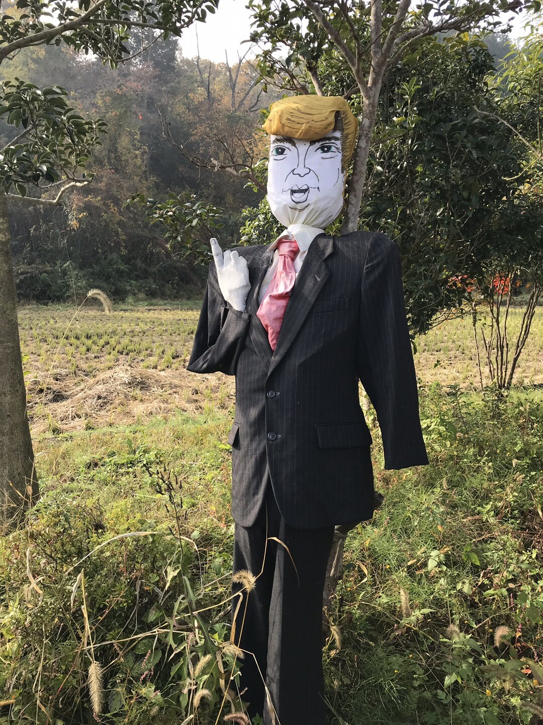 虚空蔵谷から甘南備山へ ゆーすけさんの交野山 国見山の活動日記 Yamap ヤマップ