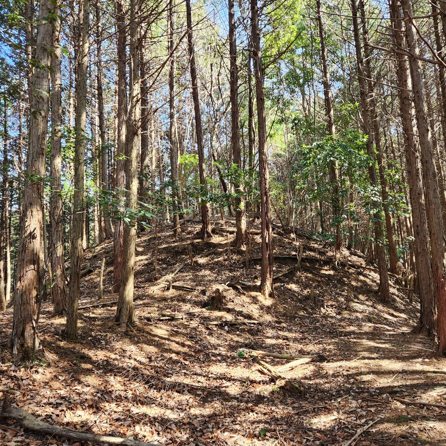 龍王山古墳群』奈良県史跡名勝天然記念物調査報告第68冊
