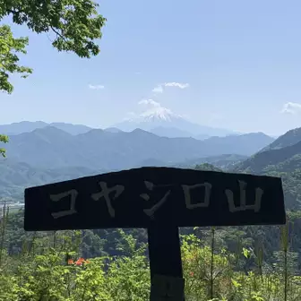 コヤシロ山到着！