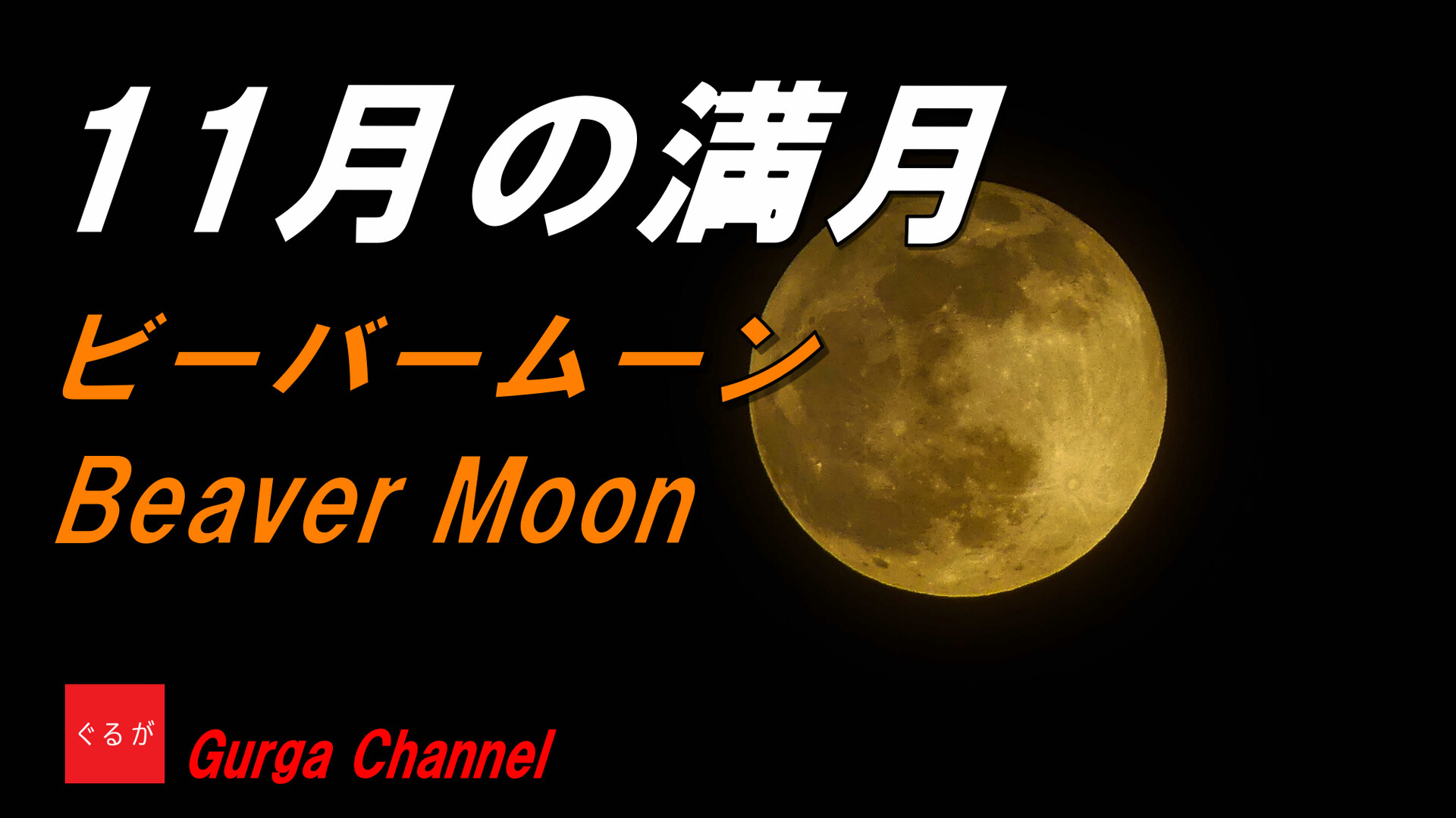 11月の満月は ビーバームーン Beaver Moon ぐるがさんの観光の活動データ Yamap ヤマップ