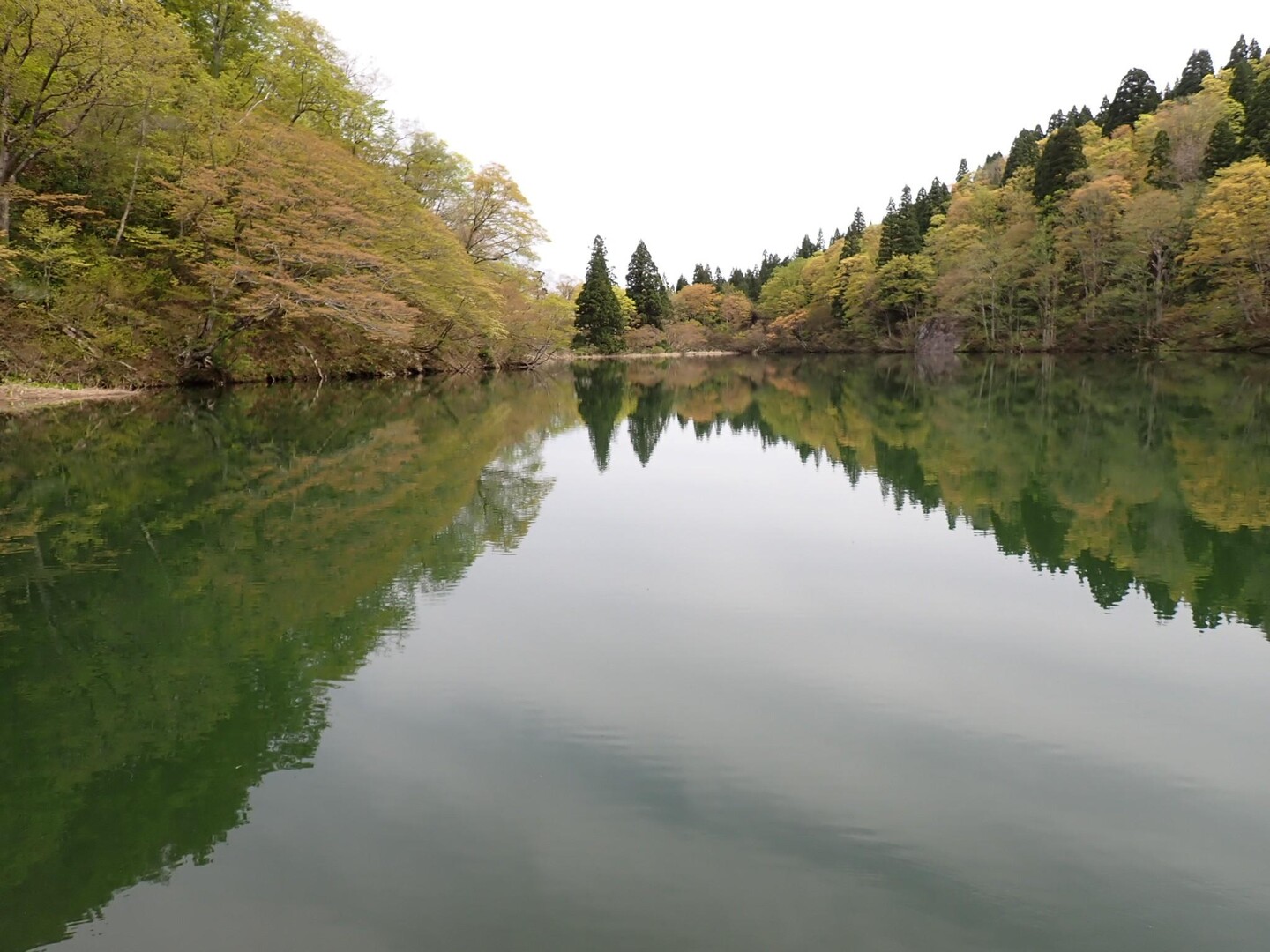 20230503 縄ヶ池〜高清水山〜高落場山 / わろしさんの高清水山・高落場山・八乙女山の活動データ YAMAP / ヤマップ