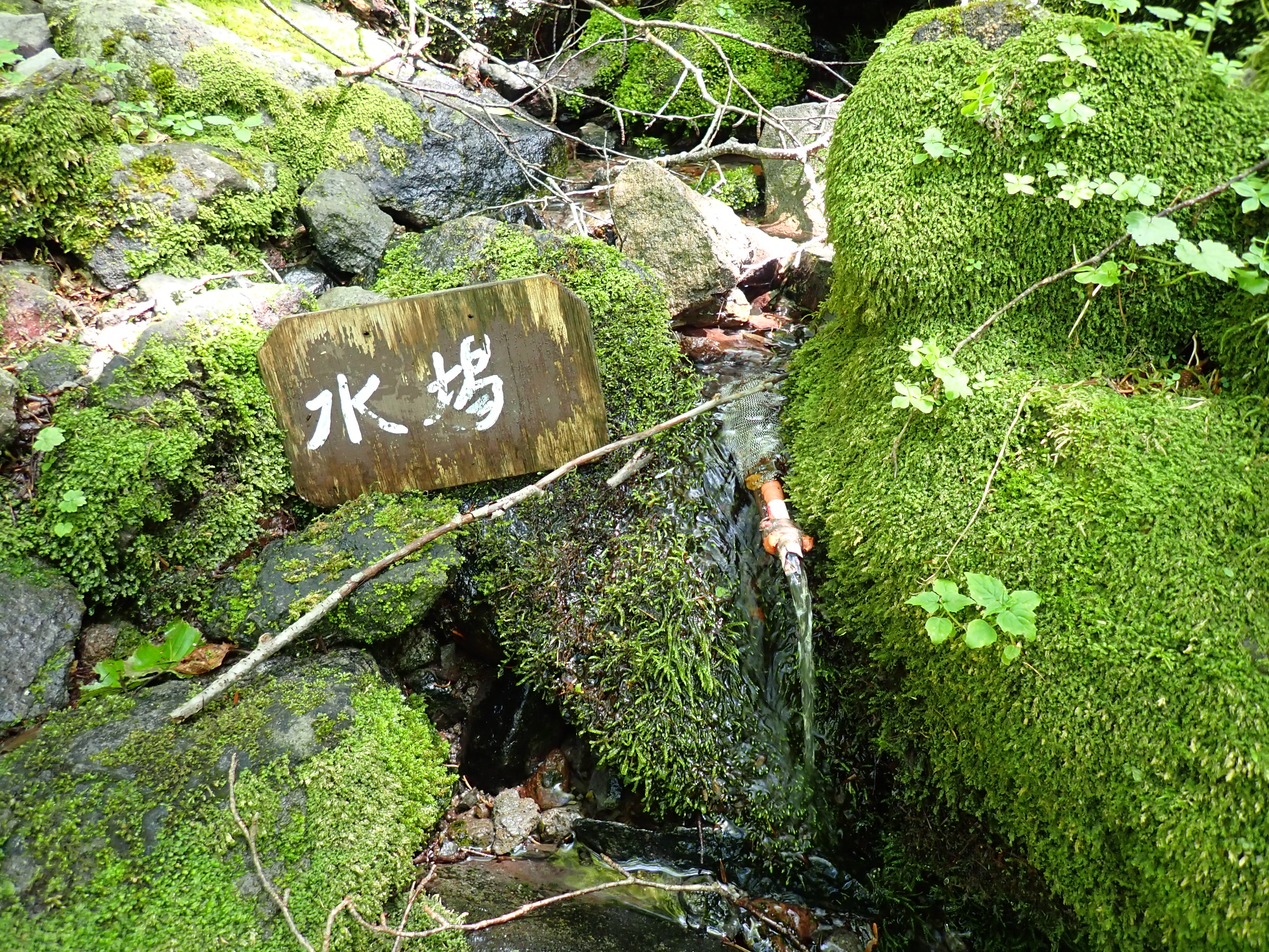 日光白根山 前白根山 五色沼 日光湯元スキー場 Hossyさんの日光白根山 五色山 錫ヶ岳の活動日記 Yamap ヤマップ