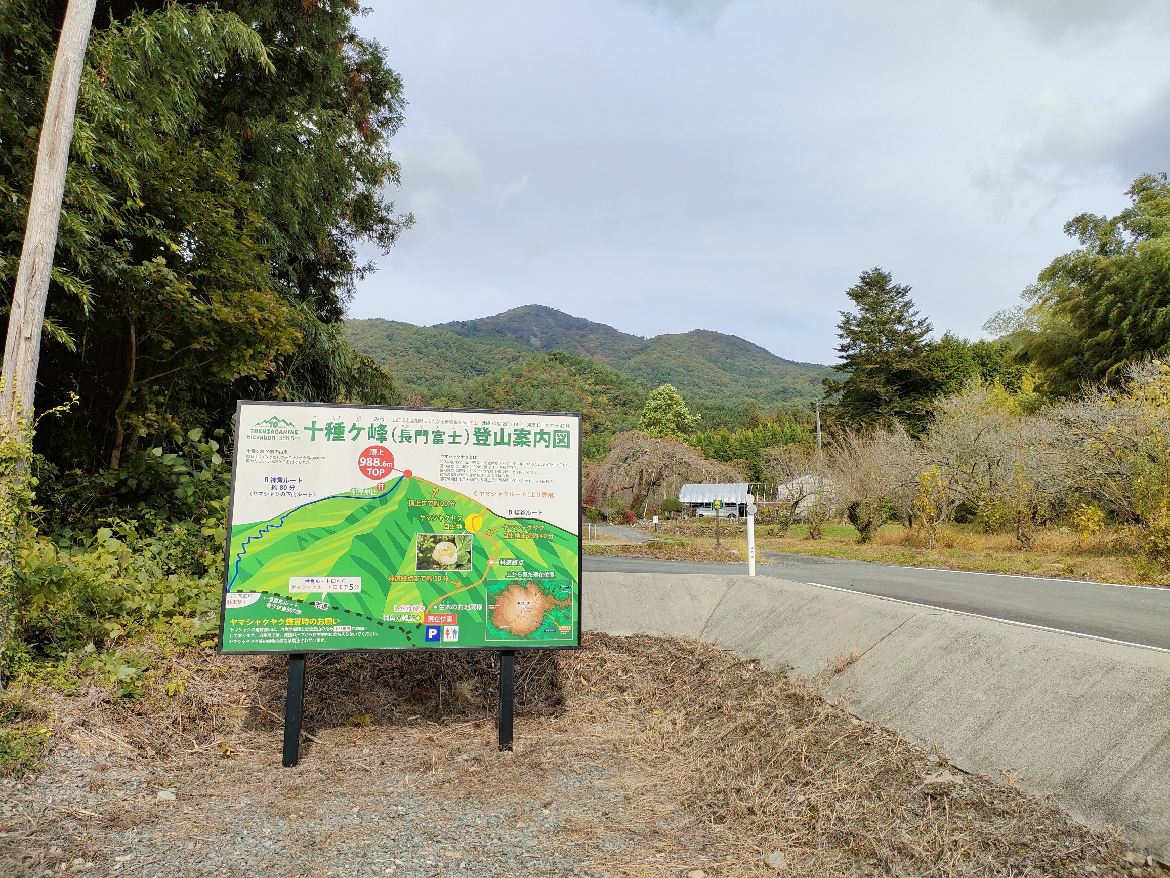 お取り寄せ】 【角峰様専用】 絵画/タペストリ - retrace.ai