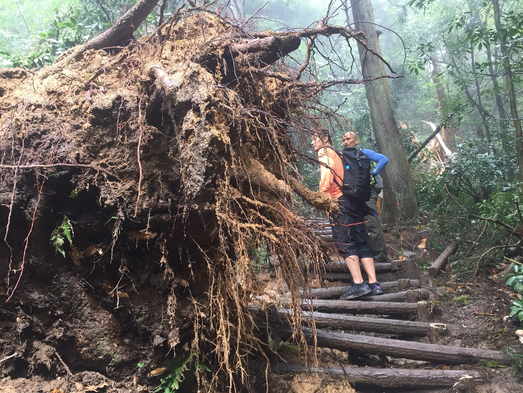 台風後の筑波山 Weiさんの筑波山の活動データ Yamap ヤマップ