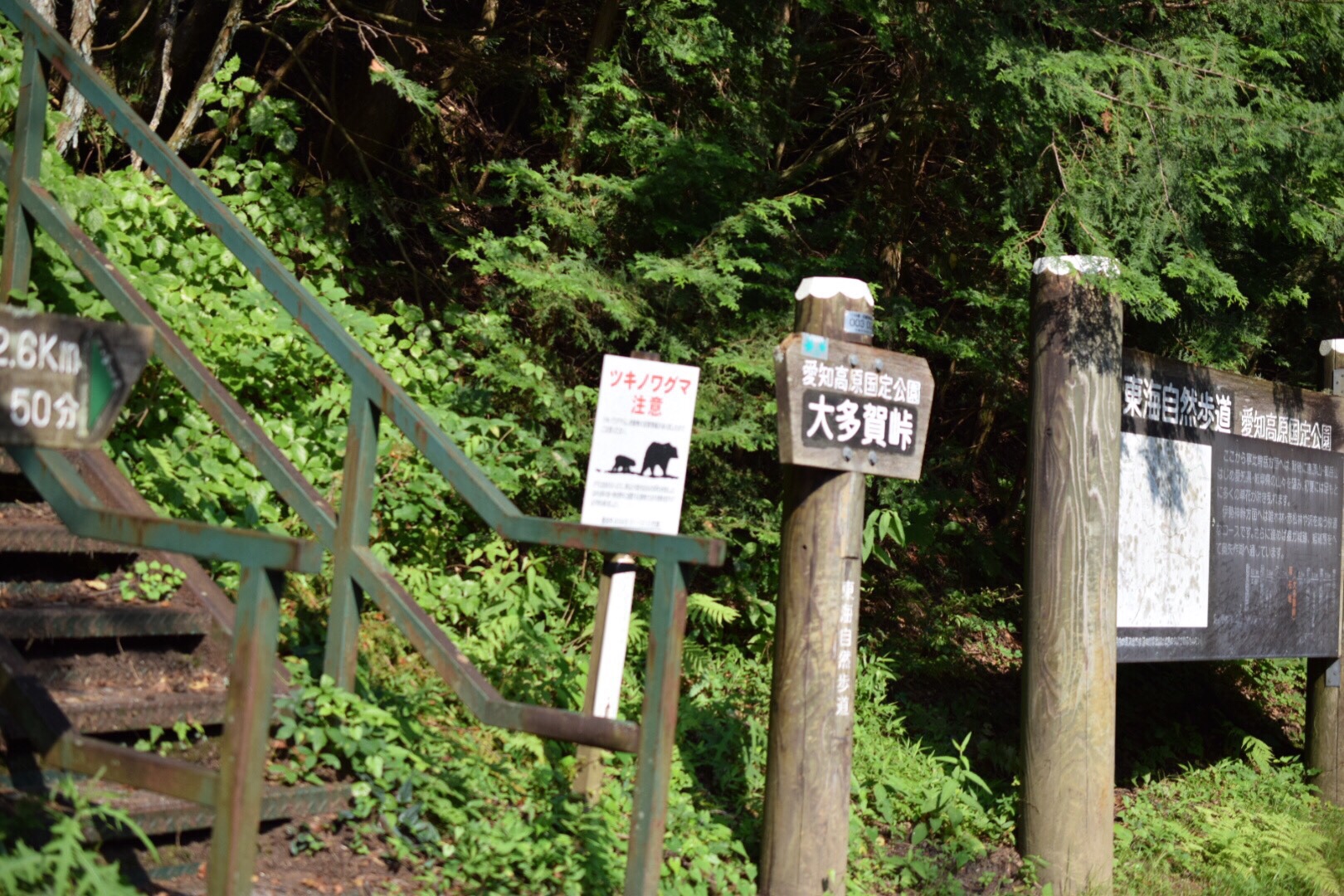 まそたんとの出会いの寧比曽岳 19 08 03 Rum4koさんの寧比曽岳 筈ヶ岳 出来山の活動日記 Yamap ヤマップ