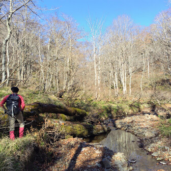 左門岳 と思ったら２分で何かを発見したようです。