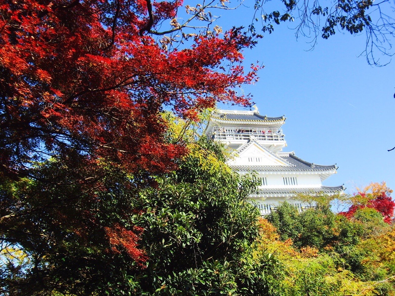 今日のテーマは紅葉ですね 里山はまだ紅葉 おたしげさんのモーメント Yamap ヤマップ