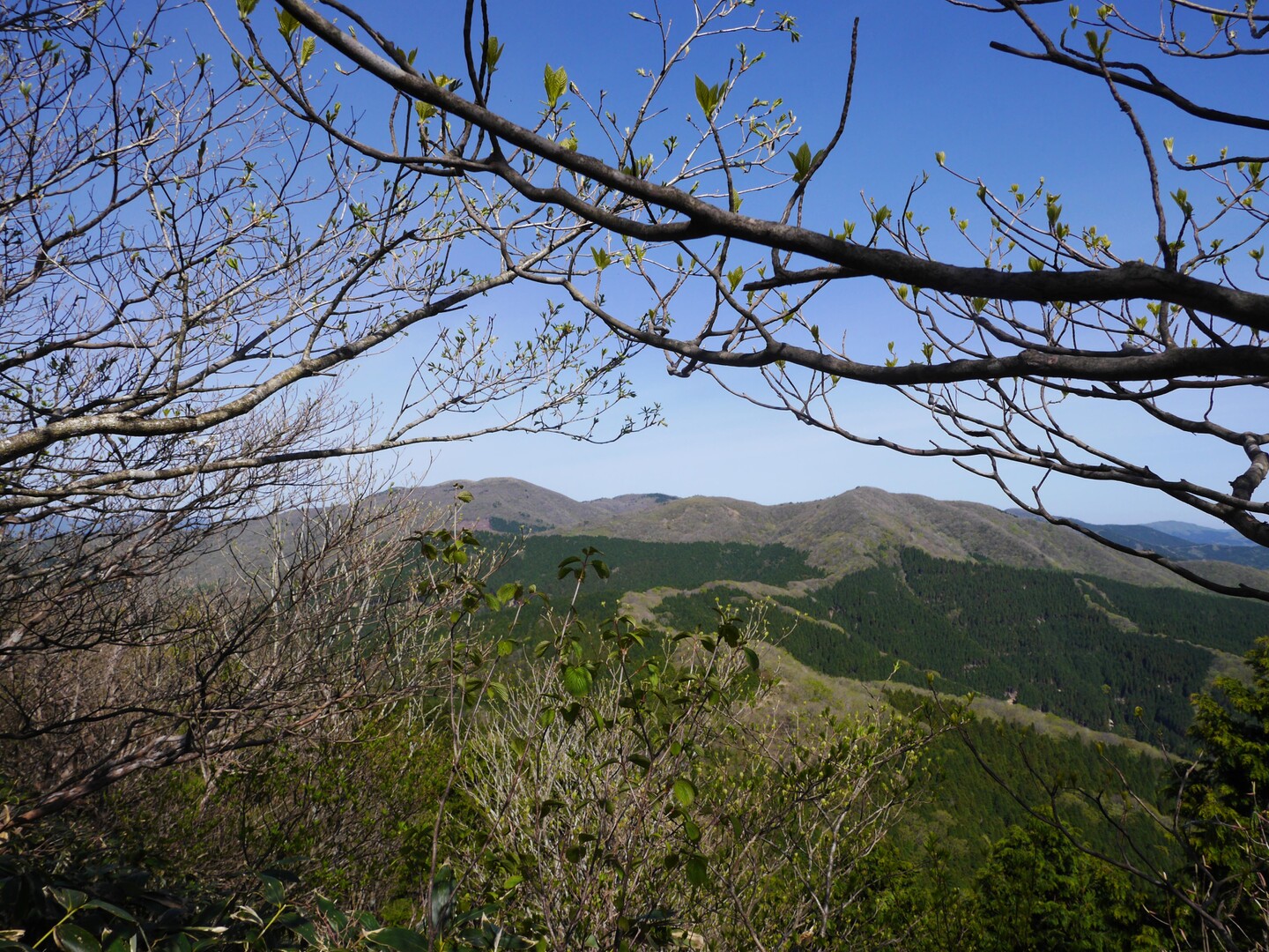 備中国、備後国、伯耆国の境、神郷三国山 / zlzlzlさんの道後山・岩樋山の活動データ YAMAP / ヤマップ