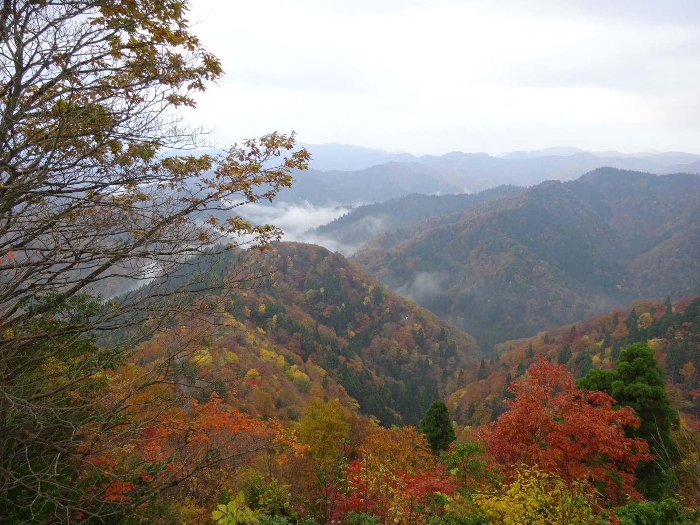 おにゅう峠の雲海と百里ヶ岳 まぁさんの百里ヶ岳 三国岳の活動データ Yamap ヤマップ