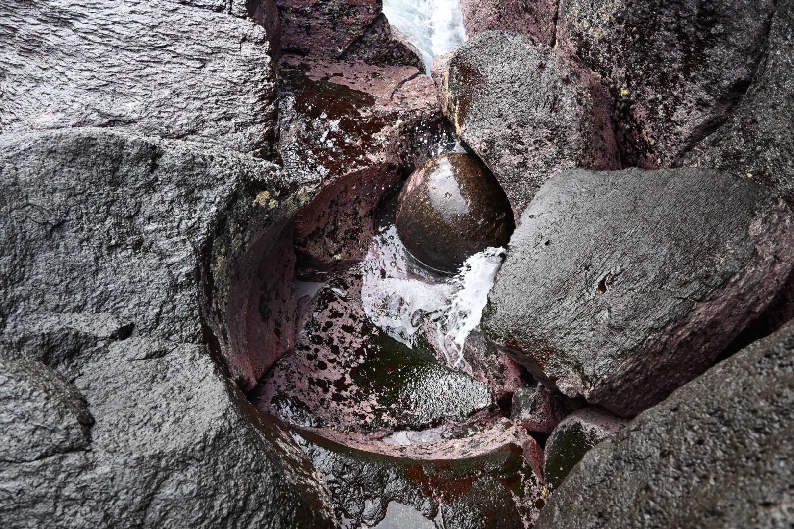 ポットホールとまんまる石 J さんの城ヶ崎海岸自然研究路コースの活動日記 Yamap ヤマップ