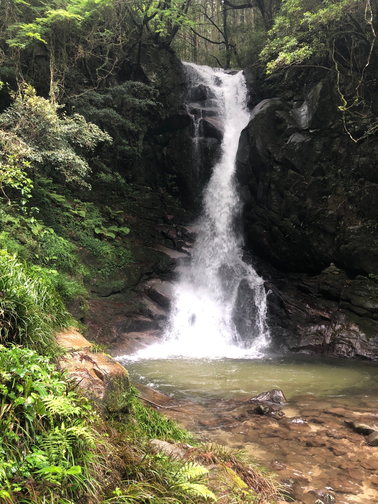 金山 花乱の滝 チカさんの脊振山 金山の活動データ Yamap ヤマップ
