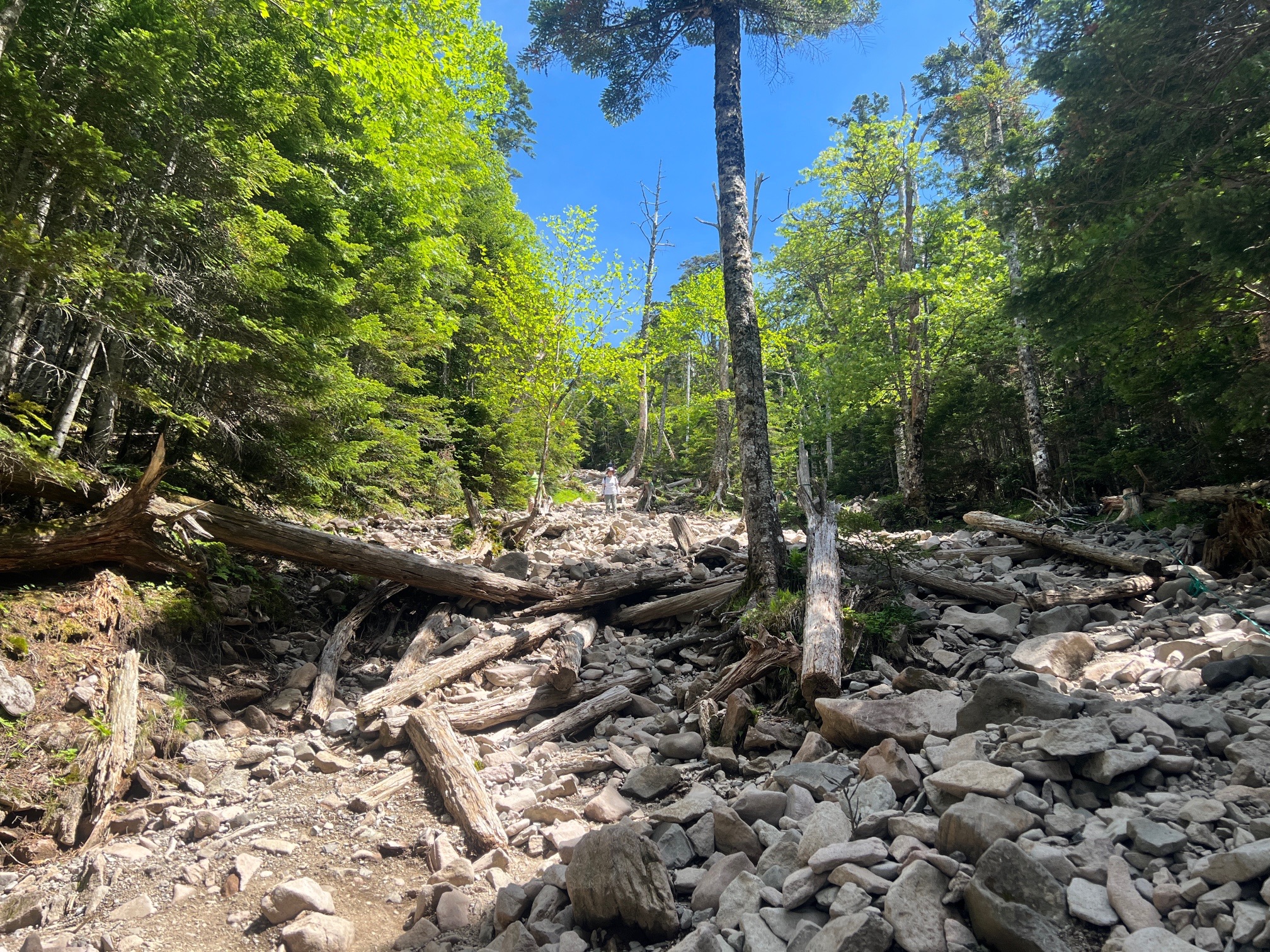 ほらね、再び、ザレ場。しかも、急登。 やはり、7合目コースは、お勧めしない^_^