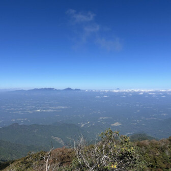 名前を入力してください