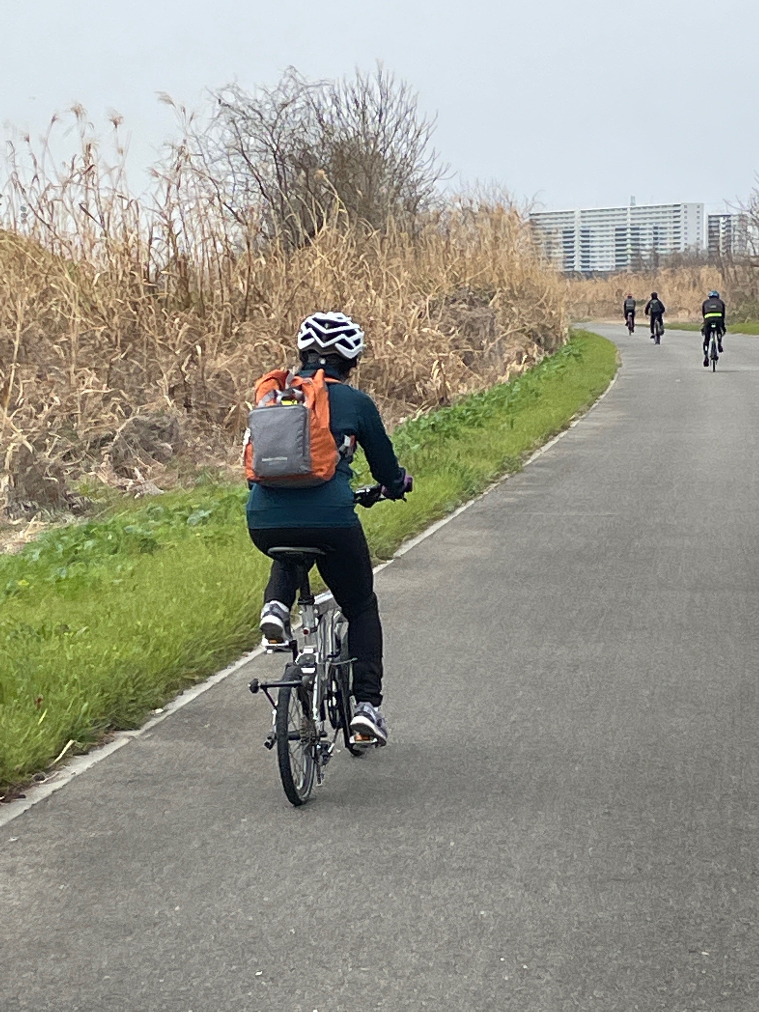 淀川サイクリングロード まんまるちーのさんのポンポン山 釈迦岳 小塩山 若山の活動データ Yamap ヤマップ
