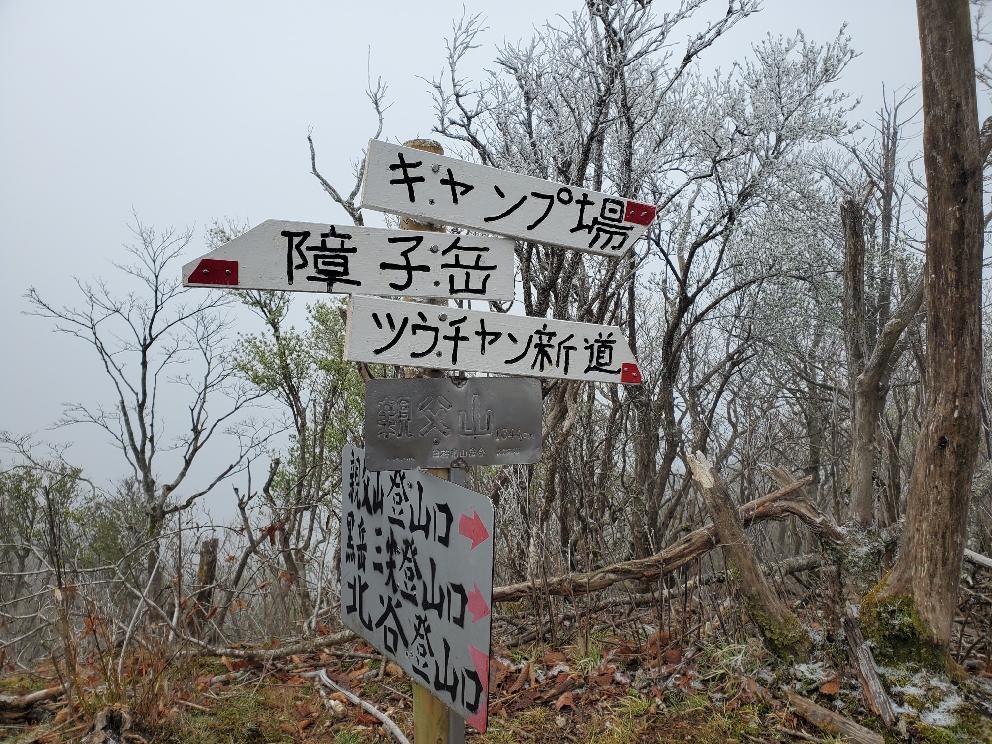 親父山 障子岳 黒岳 三尖 よ そろさんの祖母山の活動日記 Yamap ヤマップ