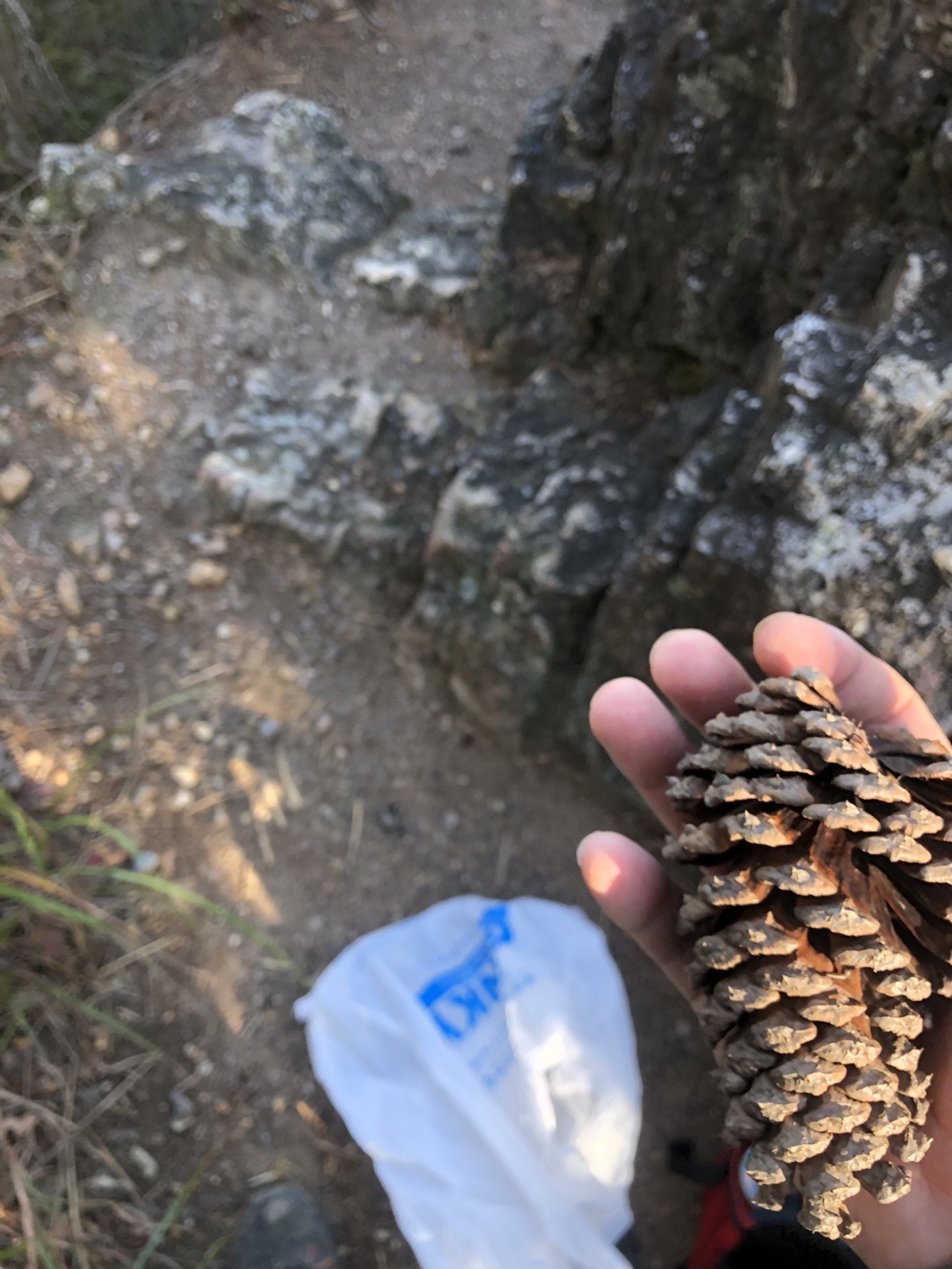 鳩吹山 19 11 09 ごっちさんの鳩吹山の活動日記 Yamap ヤマップ