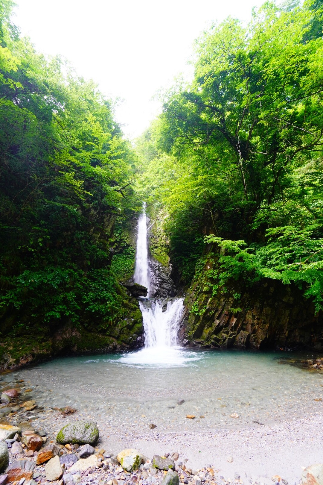 矢筈ヶ山 / sachiさんの大山・甲ヶ山・野田ヶ山の活動データ YAMAP / ヤマップ