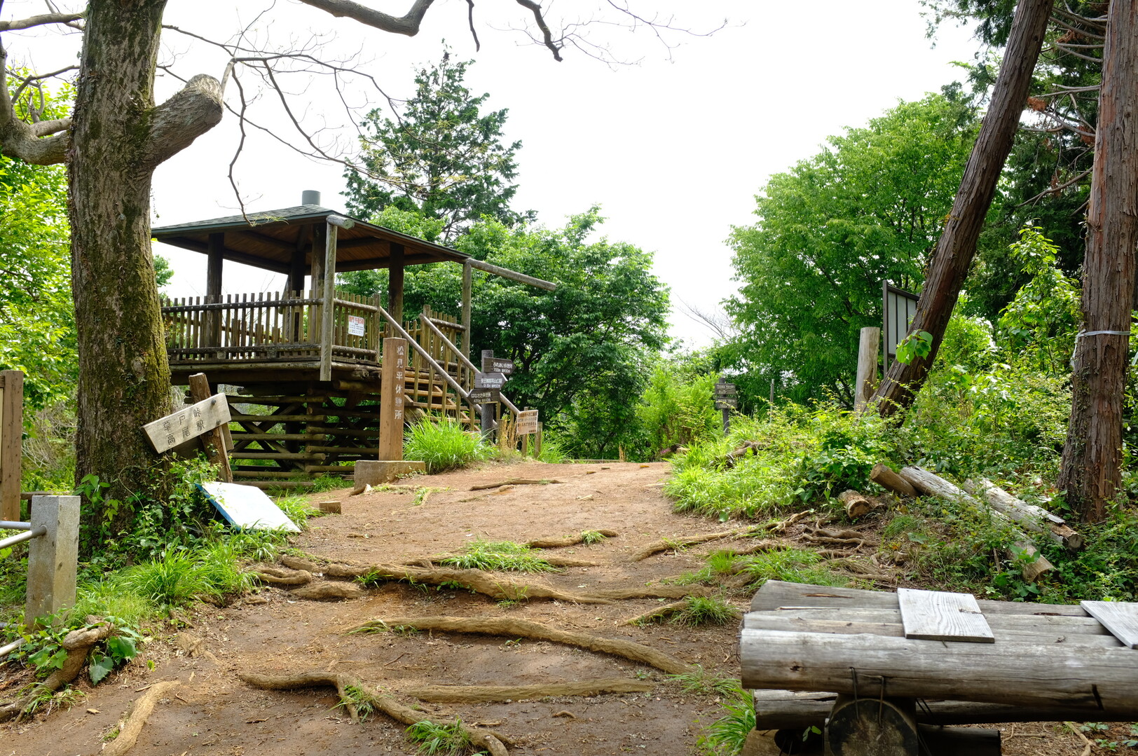蝶さんと会った 南高尾 高尾山 陣馬山 景信山 2019 05 22 ダットさんの高尾山 陣馬山 景信山の活動日記 Yamap ヤマップ