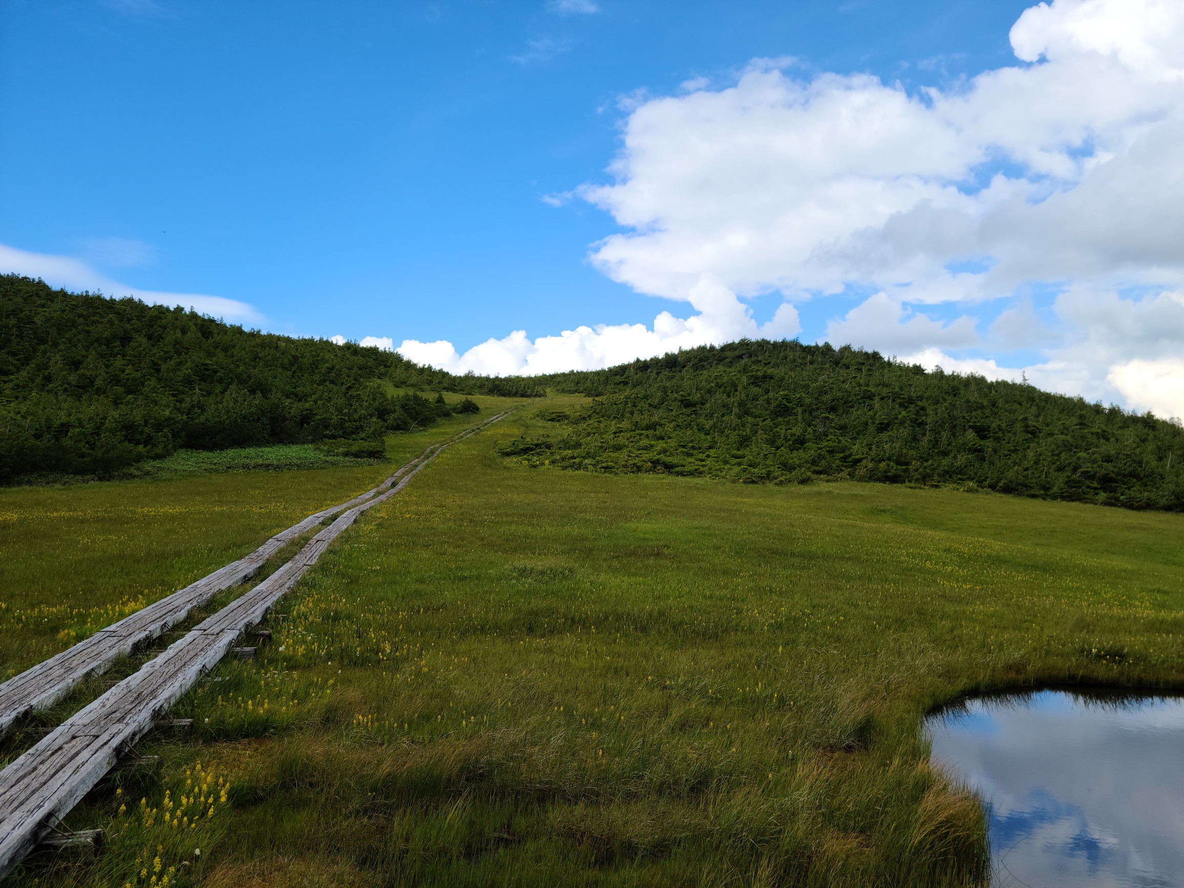 俎嵓 燧ヶ岳 柴安嵓 桃色にゃんこさんの尾瀬 燧ヶ岳の活動データ Yamap ヤマップ