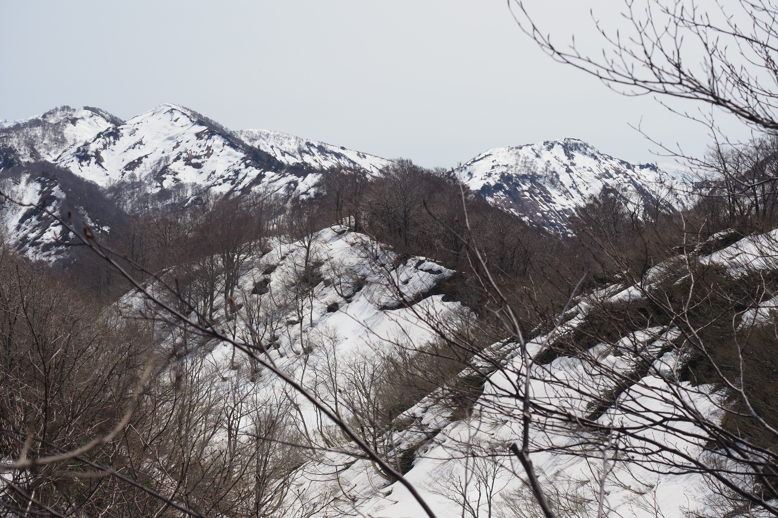 木六山・銀次郎山 灰ヶ岳