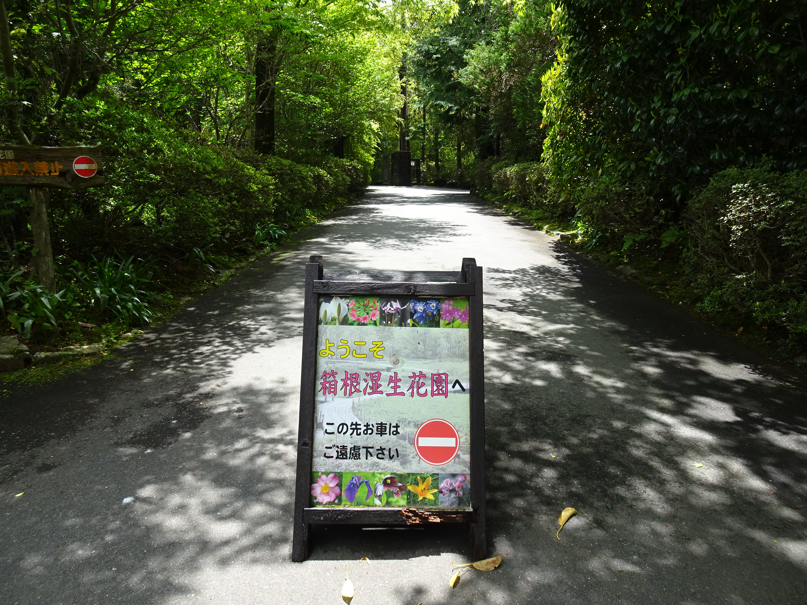 箱根湿性花園散歩は寒かった Fuuro さんの箱根山 神山の活動データ Yamap ヤマップ