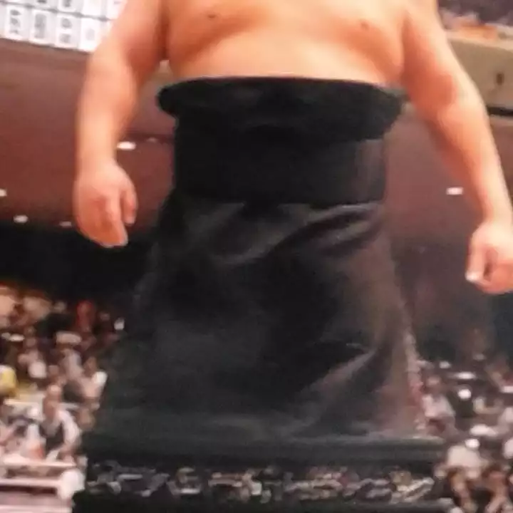 尊富士の化粧まわし 今年の春場所 / 山オタクさんの 尊富士の化粧まわし 今年の春場所 / 山オタクさんの