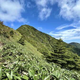 瓶ヶ森・伊予富士 西黒森