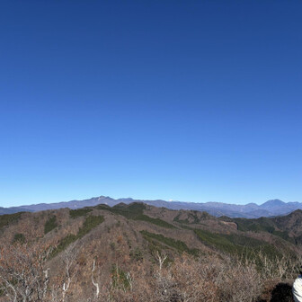 山頂はいい景色