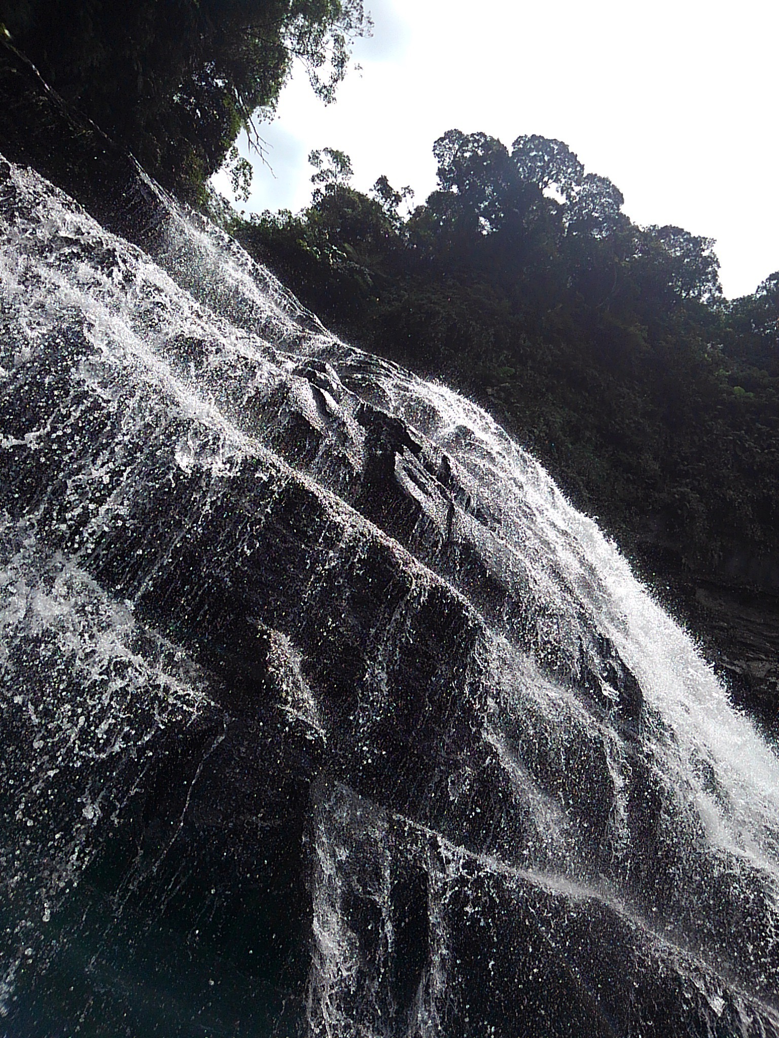 荘厳なる猫の城 マヤグスクの滝 ねこ１号さんの西表島の活動日記 Yamap ヤマップ