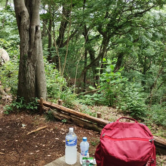 泰光寺山、ここの登りの階段が南高尾で1番キツイ気がする
もちろんザックは今日も山トレ用の重さ🎶