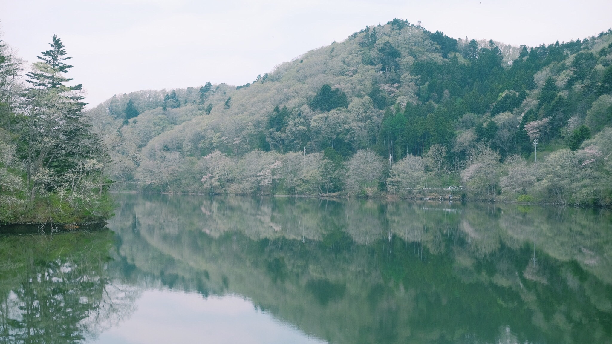 サイカチ沼周辺 Sasakiさんの白沢五山 五ツ森 の活動データ Yamap ヤマップ