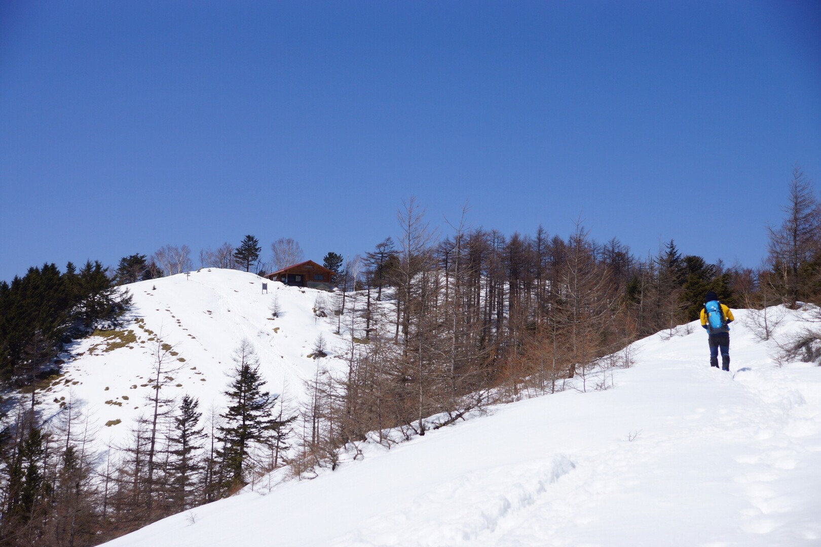 雲を取りに行ったのに 雲ひとつない青空だった たなひさんの雲取山 鷹ノ巣山 七ツ石山の活動日記 Yamap ヤマップ