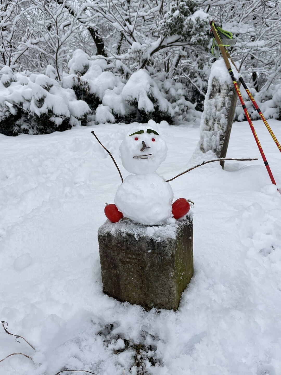 富山市呉羽丘陵の城山三角点に雪だるま作っ ポンコツさんのモーメント Yamap ヤマップ