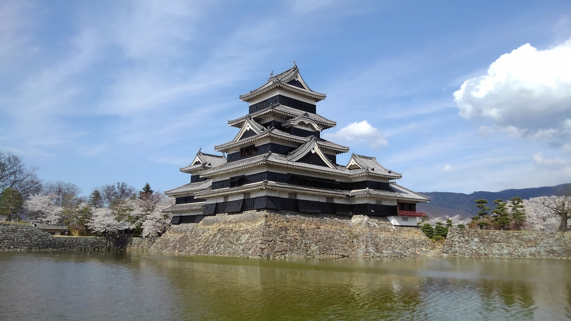 松本城花見 お堀に滑落 足元注意 まっとさんの松本市の活動データ Yamap ヤマップ