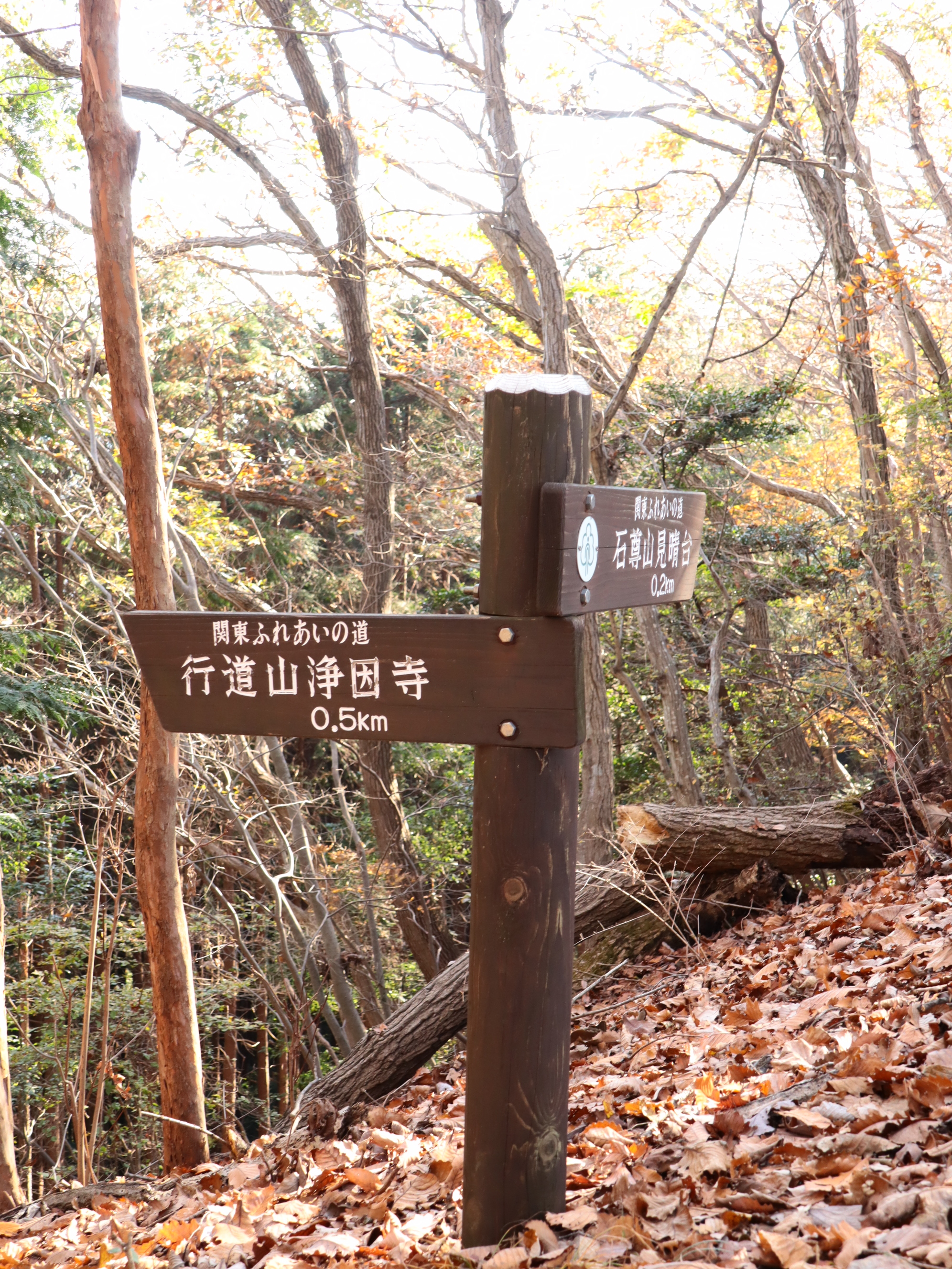 恒例 両崖山 行道山ハイキング 今年の浄因寺の紅葉は 栃木百名山 ざどじぃさんの両崖山 仙人ヶ岳 石尊山の活動日記 Yamap ヤマップ