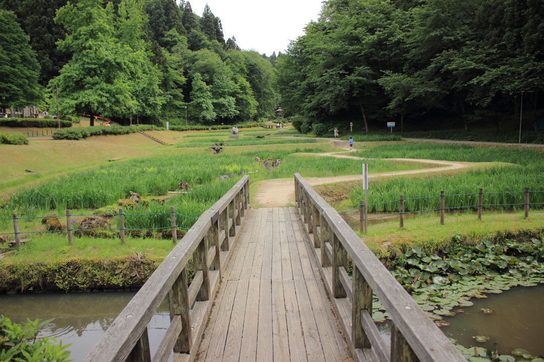 しらさぎ森林公園 散策道トレッキング とうきさんの三条市の活動日記 Yamap ヤマップ