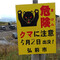 山親父