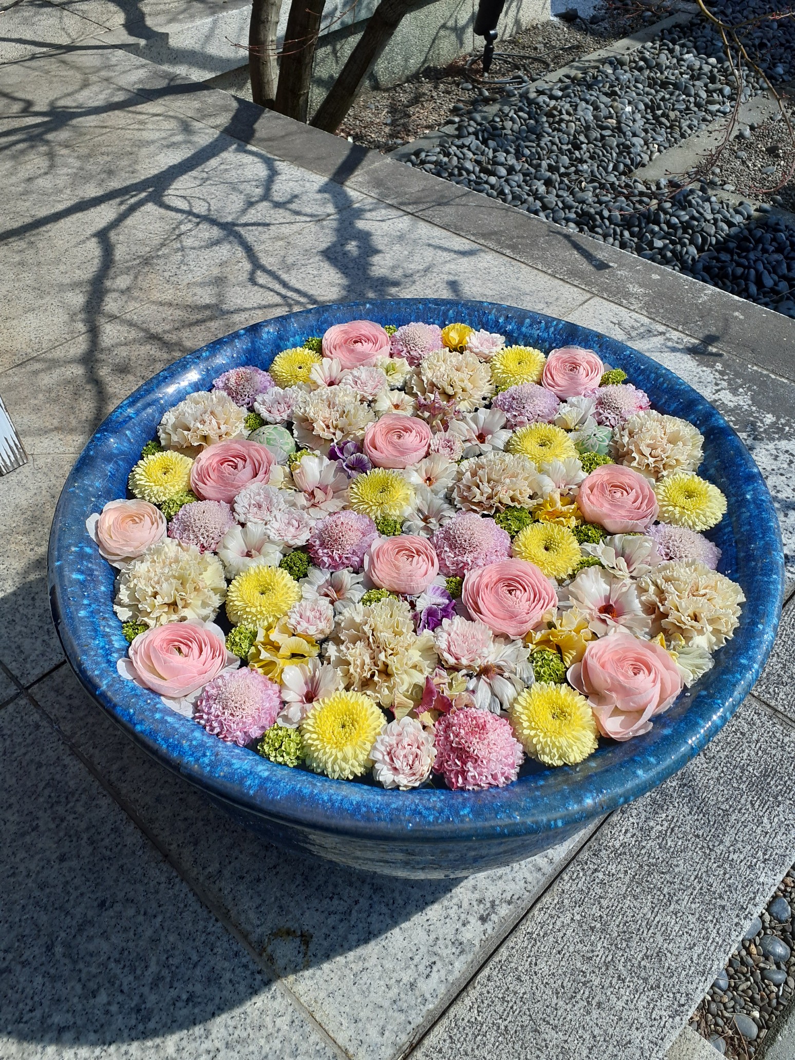 行田市 花手水 散策 22 03 08 きよちゃんさんのウォーキングの活動データ Yamap ヤマップ